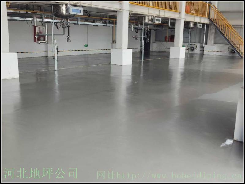 mmexport1786976489421.jpg
