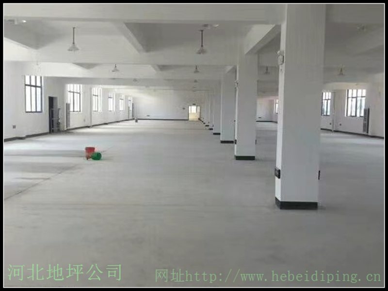 mmexport1786976914633.jpg