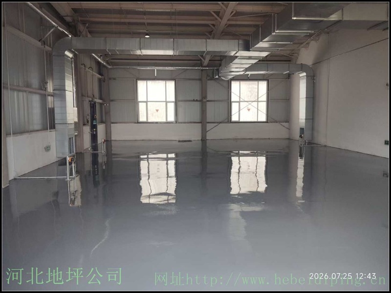 mmexport1786976485750.jpg